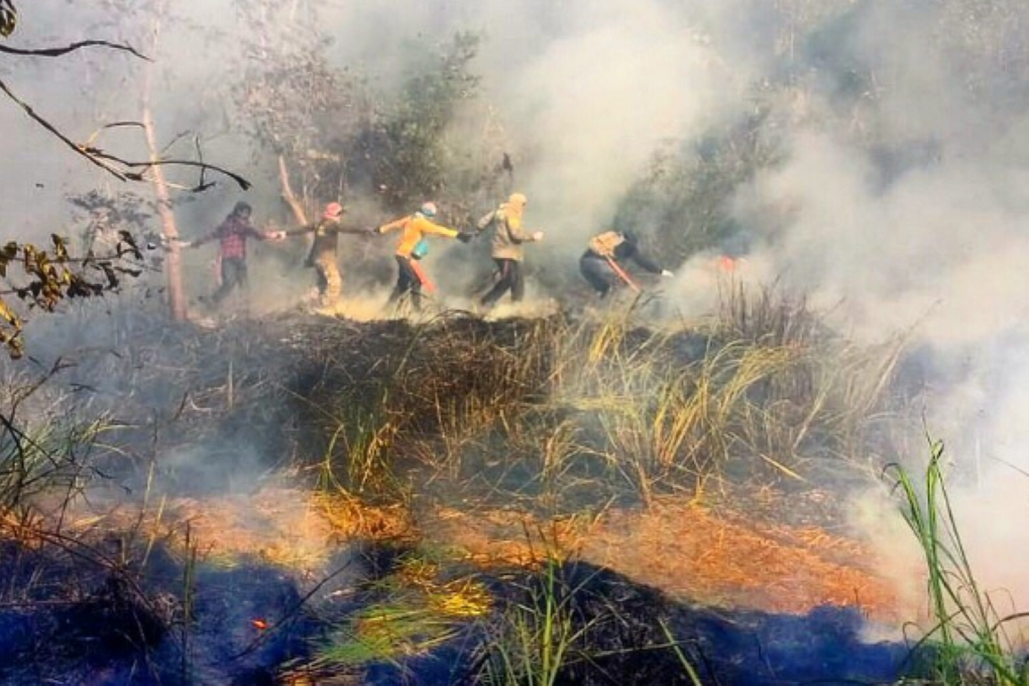 Incêndio-em-Alter-do-Chão-Foto-Brigada-De-Alter-