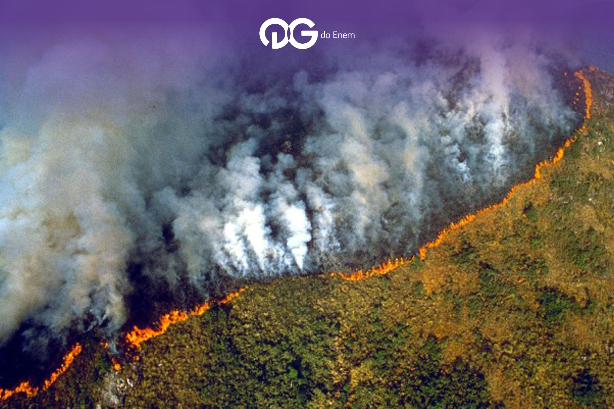 Amazônia no fogo